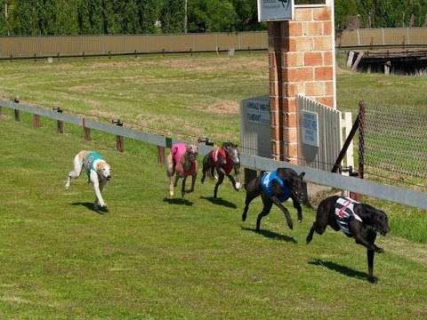 Photo: Armidale Greyhound Racing Club